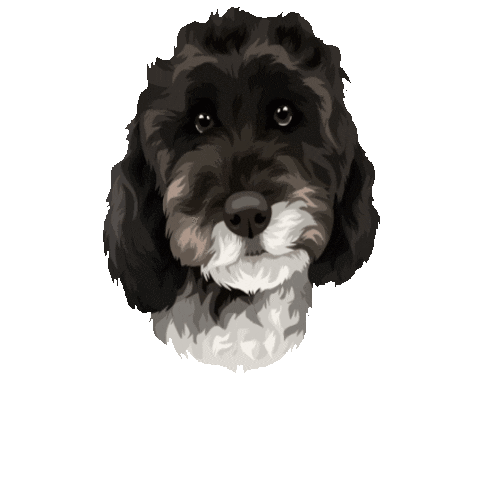 Figpawtrait Sticker by Pickle's Pawtraits