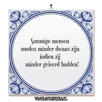 Wijsheid Troost Sticker by Tegelspreuken.nl