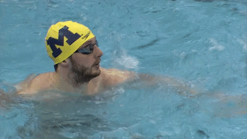GIF by Michigan Athletics
