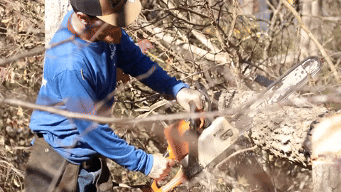 Power Tools Chainsaw GIF by JC Property Professionals