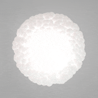 animation render GIF by Mathew Lucas 