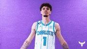 Lamelo Ball Nba GIF by Charlotte Hornets
