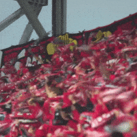 Football Soccer GIF by Widzew Łódź