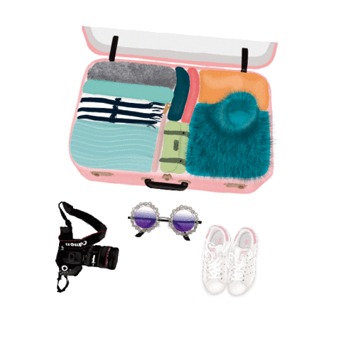 dhefloriano giphyupload travel viagem suitcase Sticker