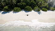 Flying Dirty Heads GIF by Better Noise Music