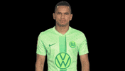 Bundesliga Thumbs Up GIF by VfL Wolfsburg