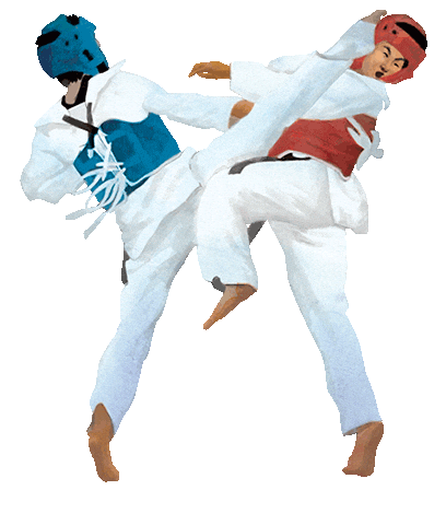 Martial Arts Sport Sticker by vank