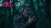 Shocked New Zealand GIF by Madman Films