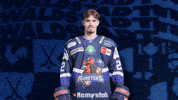 Celebration Hockey GIF by Iserlohn Roosters
