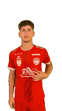 Kapfenberg Sticker by KSV1919