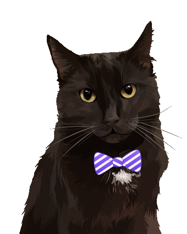 Pet Rescue Sticker by Watertown Humane Society