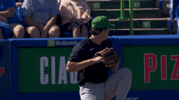 Blue Jays Mlb GIF by Toronto Blue Jays