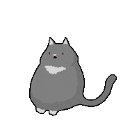 Kitten Greycat Sticker