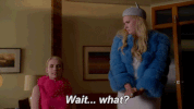 fox broadcasting GIF by ScreamQueens