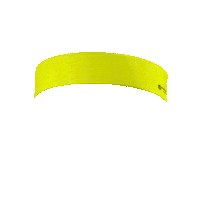 Harry Potter Quidditch Sticker by Utility Apparel