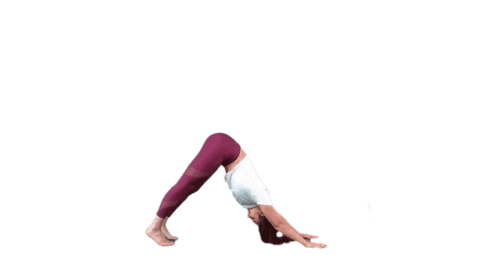 Workout Training Sticker by sisers-stretching