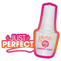 nailalliance perfect nails manicure ombre Sticker