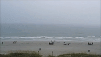 Lightning Strikes Ocean Shore in South Carolina