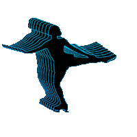 Figure Skating Sticker by Carley's Angels