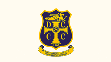 Bermuda GIF by Bermemes