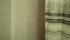 shower GIF