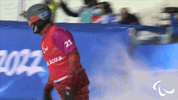 Paralympic Games GIF by International Paralympic Committee