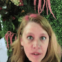 Excited Deal GIF by Tracy Shroyer, PhD