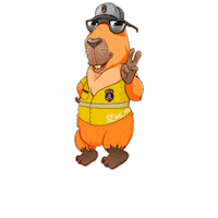 PrefeituradeCapivari capivari maio amarelo mobilidade urbana prefeitura de capivari Sticker