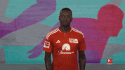 Union Berlin Selfie GIF by Bundesliga