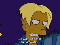 Lisa Simpson Episode 25 GIF by The Simpsons