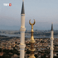 Night Drone GIF by TRT