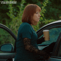 kathrynreneethomas debadler GIF by Teachers on TV Land