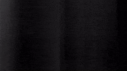 Football Sport GIF by SK Sturm Graz