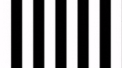 Football Sport GIF by SK Sturm Graz