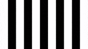Football Love GIF by SK Sturm Graz