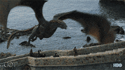 season 7 dragon GIF by Game of Thrones
