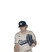 Clarke Baseball Sticker by Clarke University