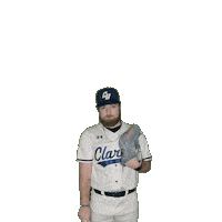 Clarke Baseball Sticker by Clarke University