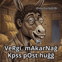 Rte Reis GIF