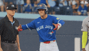 Lets Go Canada GIF by Toronto Blue Jays