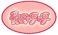 Pink Graffiti Sticker