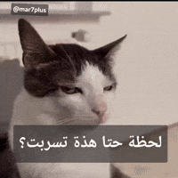 شاك فيك GIF