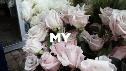unbridely giphygifmaker roses weddingflowers weddingflorist GIF