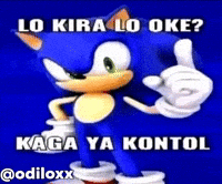 Sonic GIF