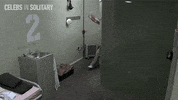 channel 5 celebs GIF by Stellify Media
