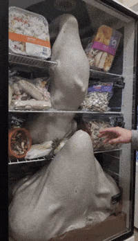 Bg Veo GIF by Aleksey Efremov