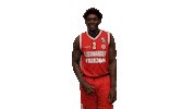 Shaq Leeuwarden Sticker by Aris