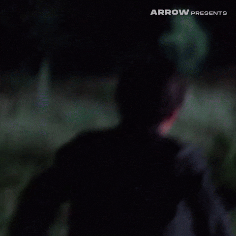 Italian Film GIF by Arrow Video