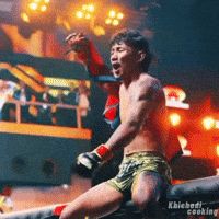 Beast From The East Mma GIF