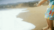 orcas live in oceans GIF by WhoSay